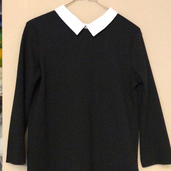 ZARA Collared Dress in Black - Picture 3 of 3